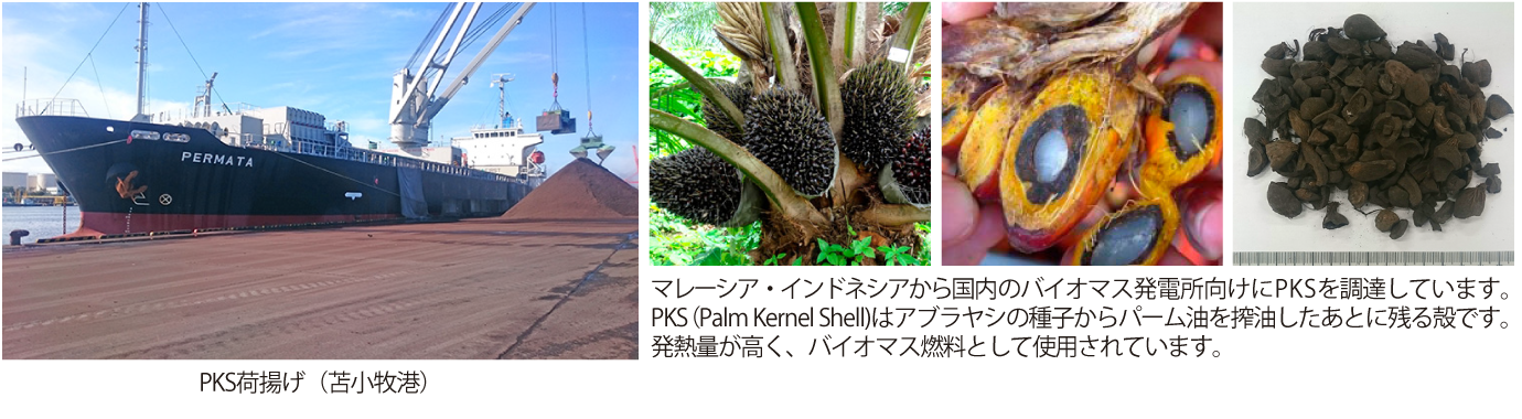 マレーシア・インドネシアから国内のバイオマス発電所向けにPKSを調達しています。PKS（Palm Kernel Shell)はアブラヤシの種子からパーム油を搾油したあとに残る殻です。発熱量が高く、バイオマス燃料として使用されています。