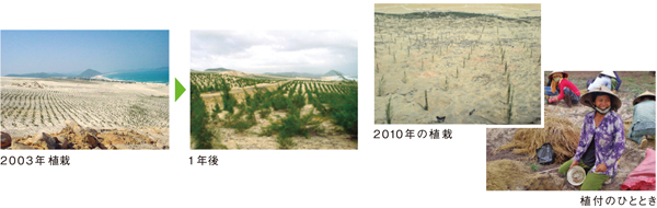 2003年植栽→1年後  2010年の植栽  植付のひととき