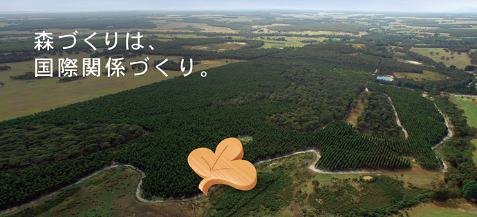 森づくりは、国際関係づくり。メインイメージ