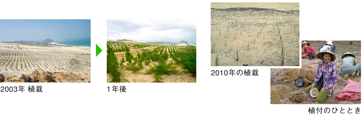 2003年植栽→1年後  2010年の植栽  植付のひととき