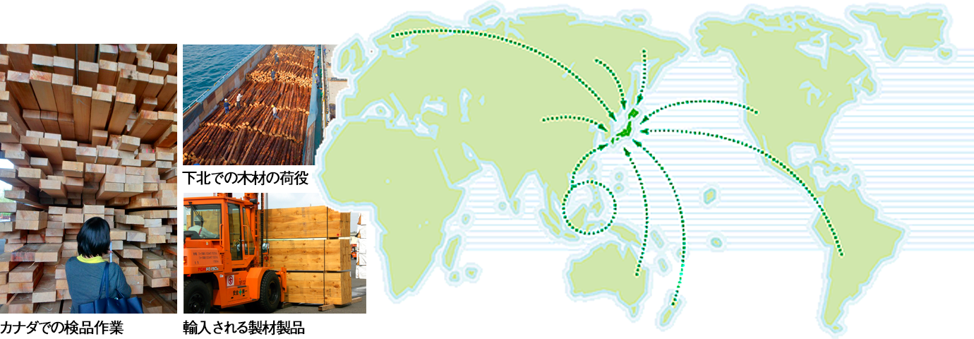 カナダでの検品作業。　下北での木材の荷役。　輸入される製材製品。　世界からの輸入ルート図。