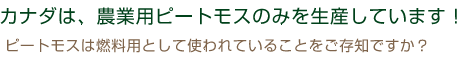 カナダは、農業用ピートモスのみを生産しています！ピートモスは燃料用として使われていることをご存知ですか？