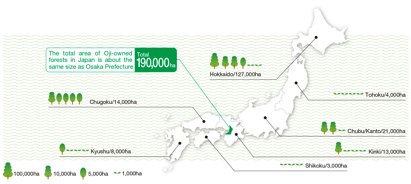 The total area of Oji-owned forests in Japan is about the same size as Osaka Prefecture Total 190,000 ha  Hokkaido/126,600ha  Tohoku/3,900ha  Chubu/Kanto/21,200ha  Kinki/12,700ha  Chugoku/13,800ha  Shikoku/2,700ha  Kyushu/7,600ha