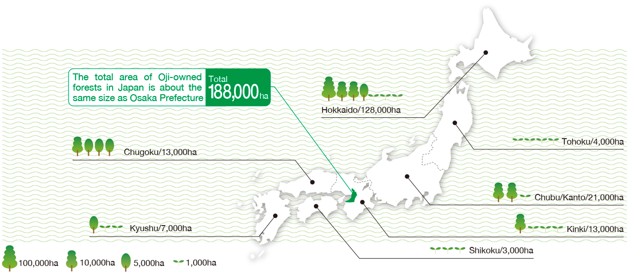 The total area of Oji-owned forests in Japan is about the same size as Osaka Prefecture Total 190,000 ha  Hokkaido/126,600ha  Tohoku/3,900ha  Chubu/Kanto/21,200ha  Kinki/12,700ha  Chugoku/13,800ha  Shikoku/2,700ha  Kyushu/7,600ha