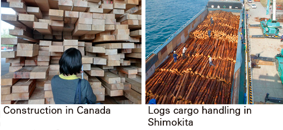 Construction in Canada, Tokyo Logs cargo handling in Shimokita