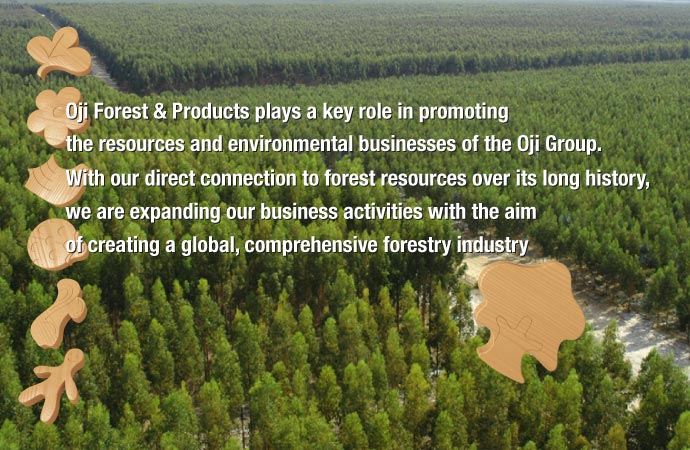 Oji Forest & Products plays a key role in promoting the resources and environmental businesses of the Oji Group.