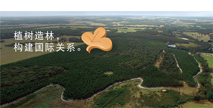 植树造林,构建国际关系。