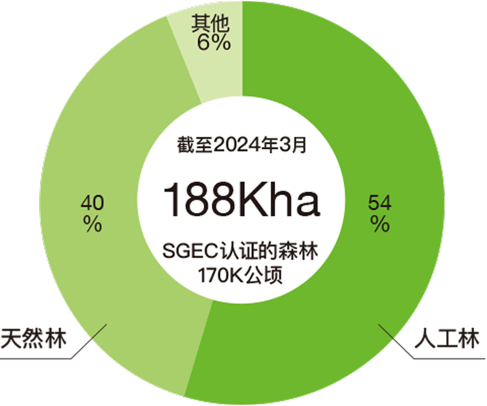 王子集团公司自有林和分成林 面积188千ha 面积比率 天然林 54％ 人工林 40％ 其他 6％ 截至2024年3月